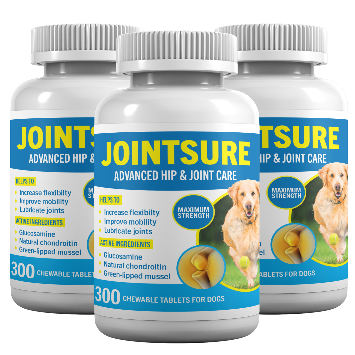 JOINTSURE