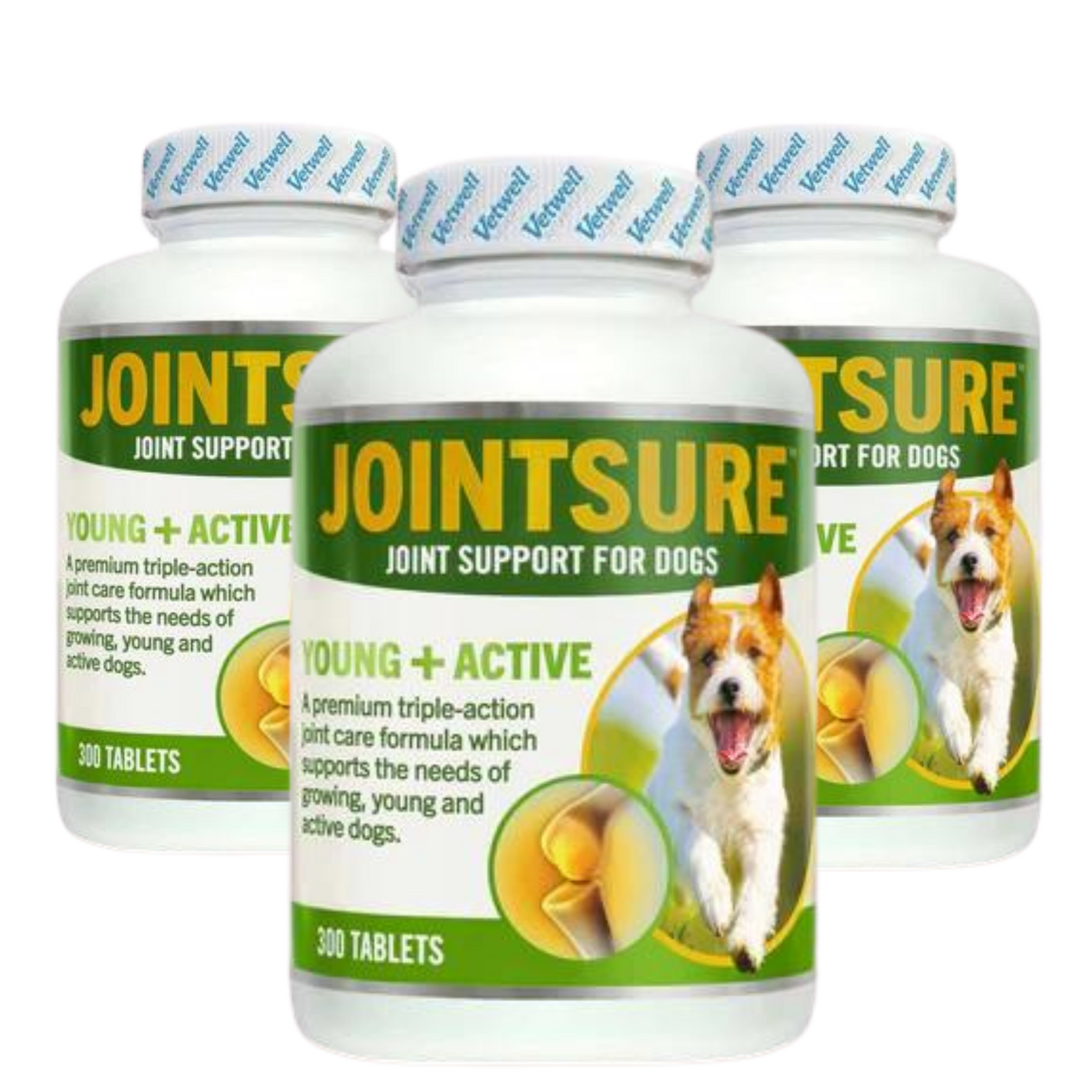 JOINTSURE Young + Active