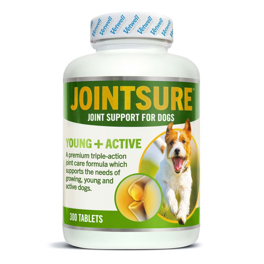 JOINTSURE Young + Active