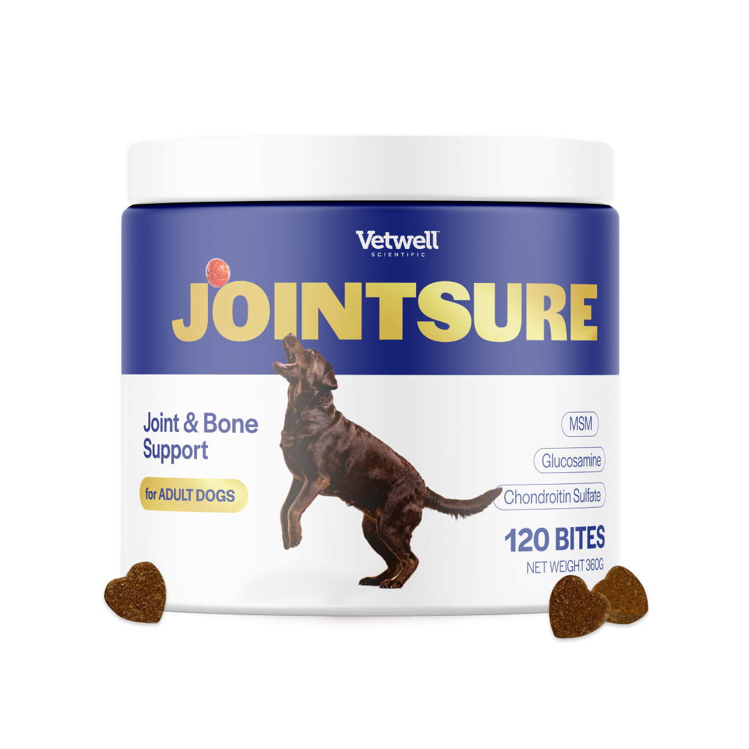 Jointsure Chews