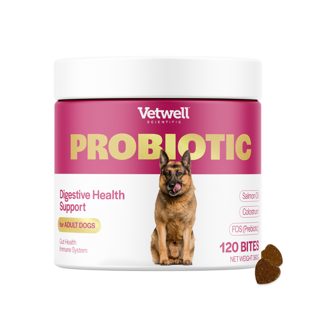 Probiotic Chews