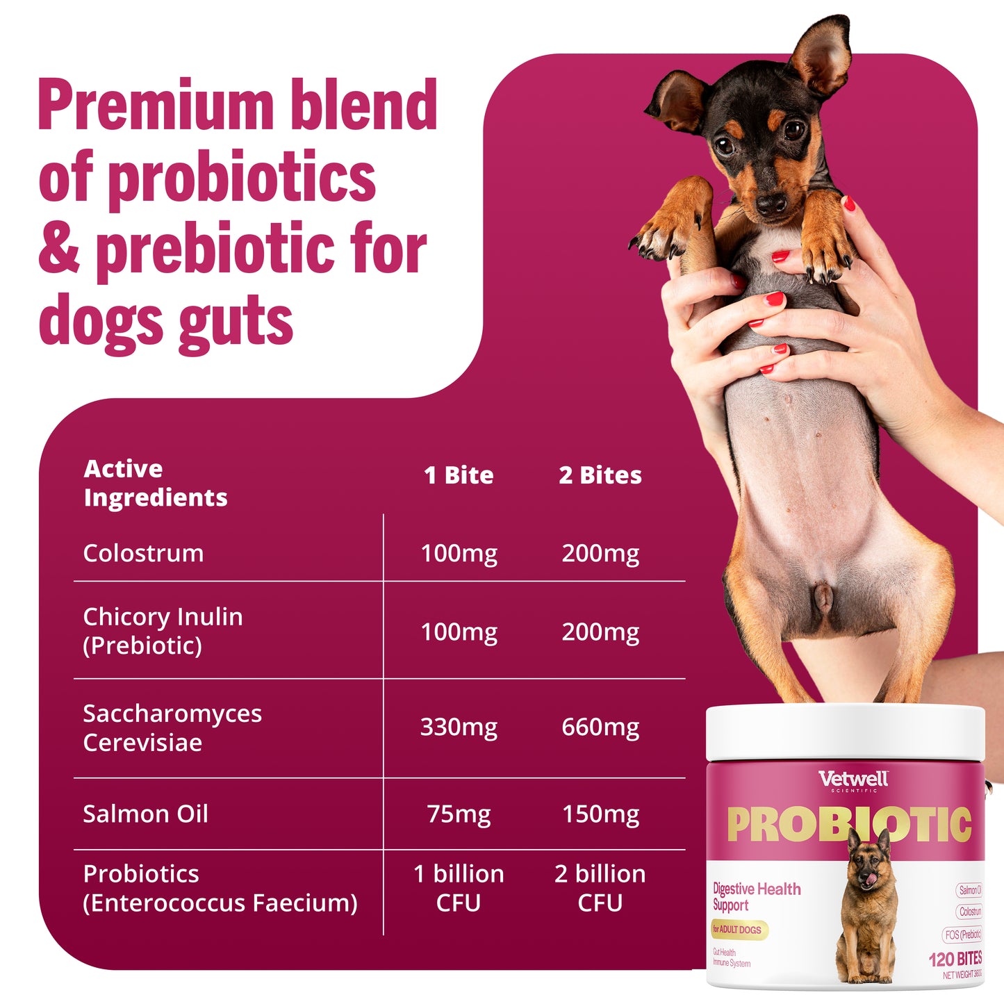 Probiotic Chews