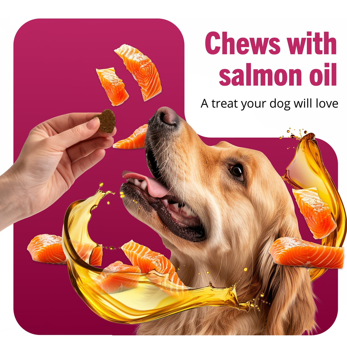 Probiotic Chews