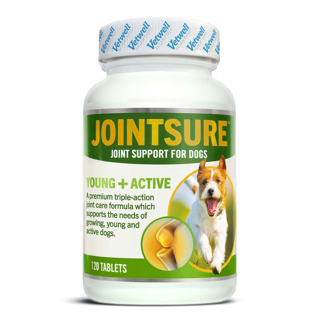 Best Joint Supplement for Puppies Young Adult Dogs JOINTSURE Y A Vetwell Scientific