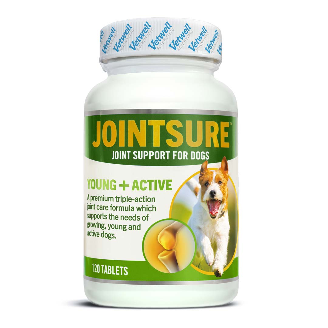 JOINTSURE Young + Active