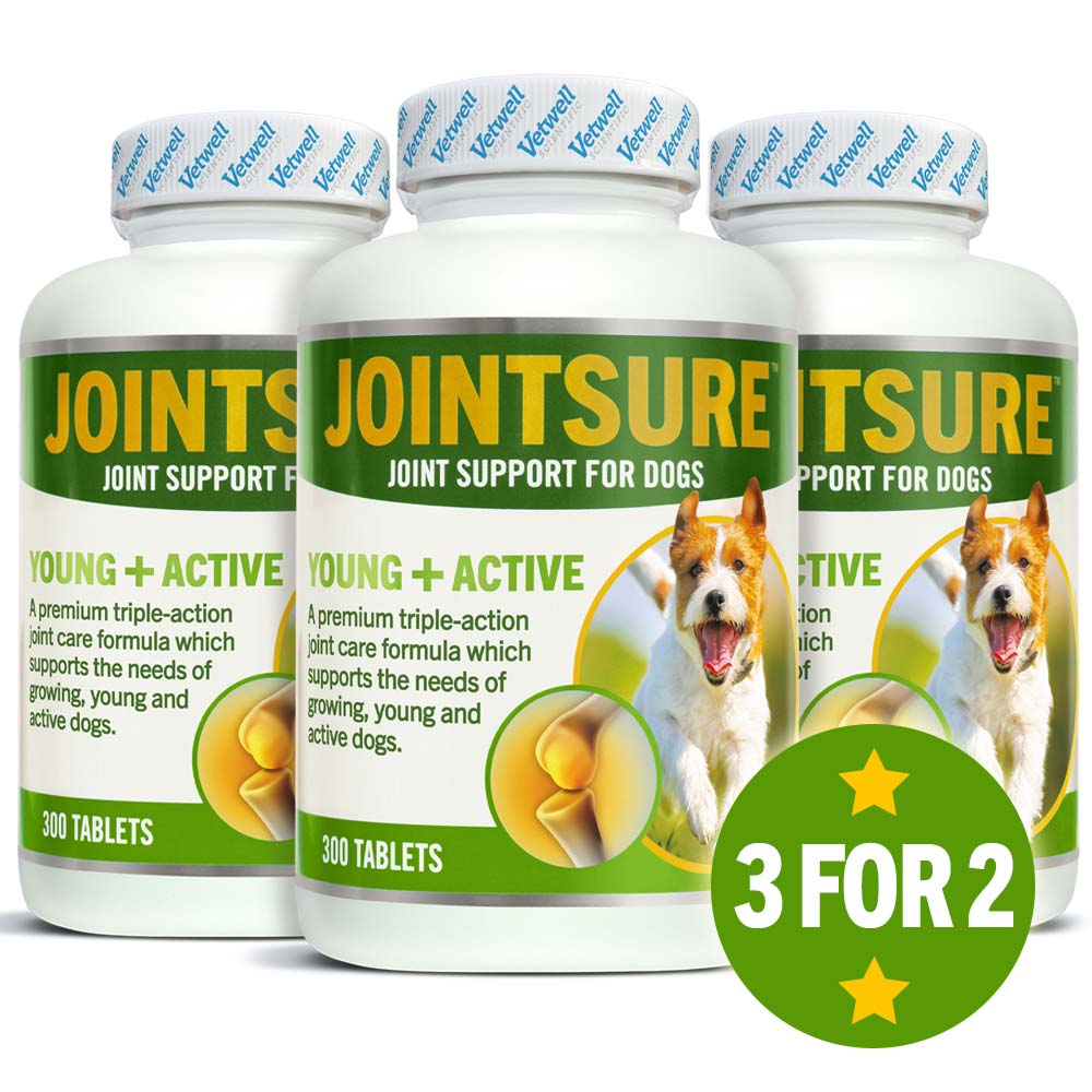 JOINTSURE Young + Active